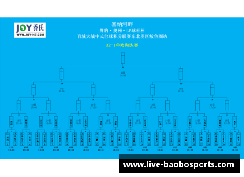 宝博体育北京队客场逆转胜利，掀起反弹浪潮 - 副本